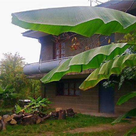 Farmer'S Guest House Telawi Zewnętrze zdjęcie